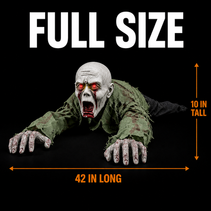 Spooky Crawler
